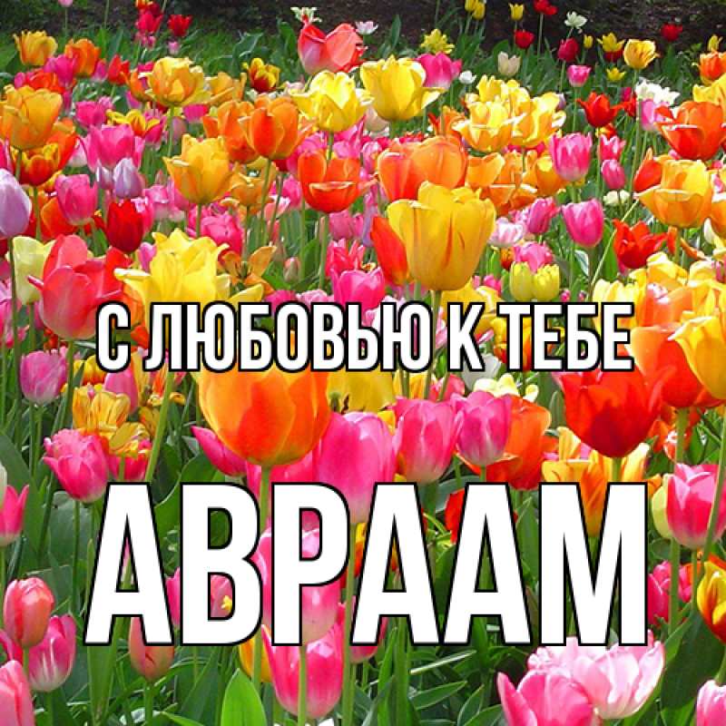 Картинка С любовью к тебе, Авраам