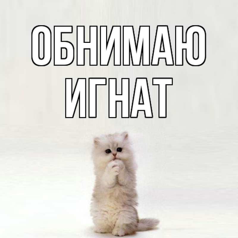 Картинка Обнимаю, Игнат