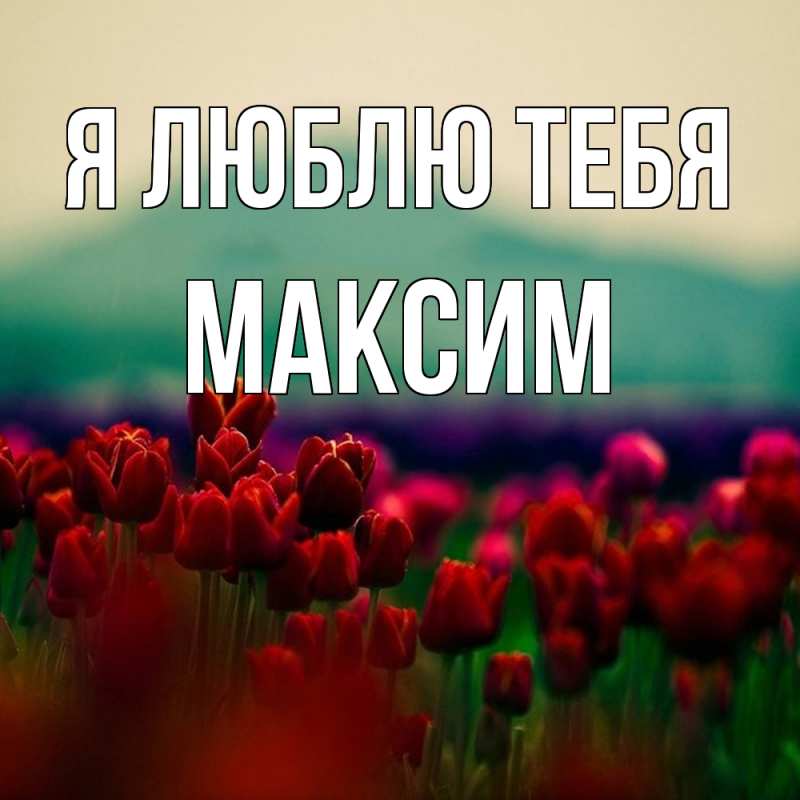 Картинка Я люблю тебя, Максим