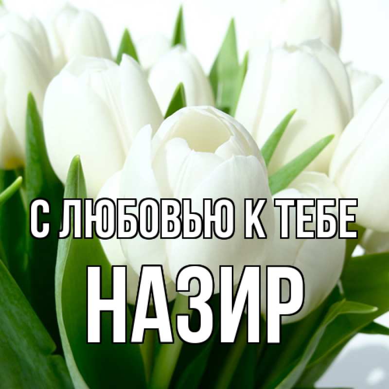 Картинка С любовью к тебе, Назир