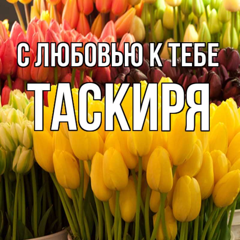 Картинка С любовью к тебе, Таскиря