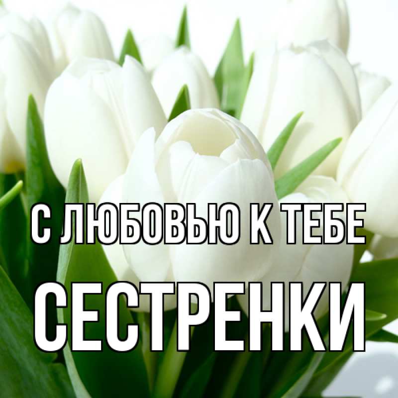 Картинка С любовью к тебе, Сестренки