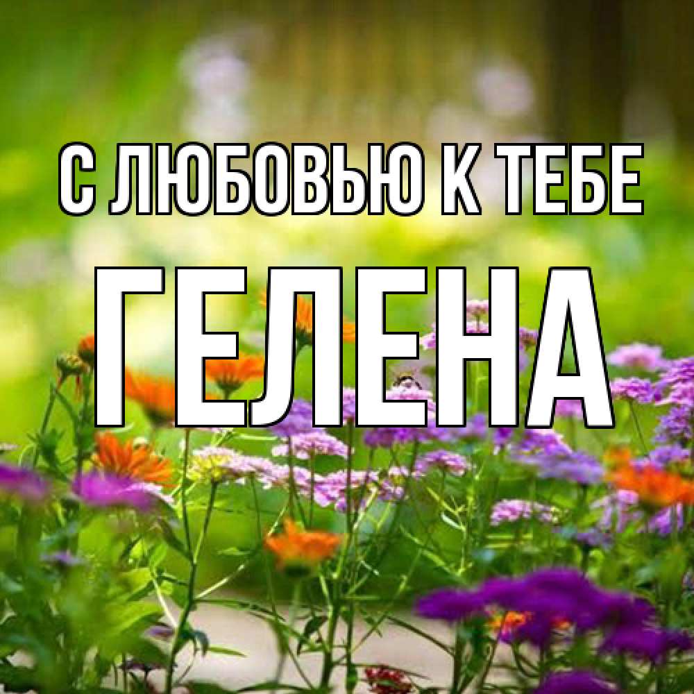 Открытка  с именем. Гелена, С любовью к тебе  