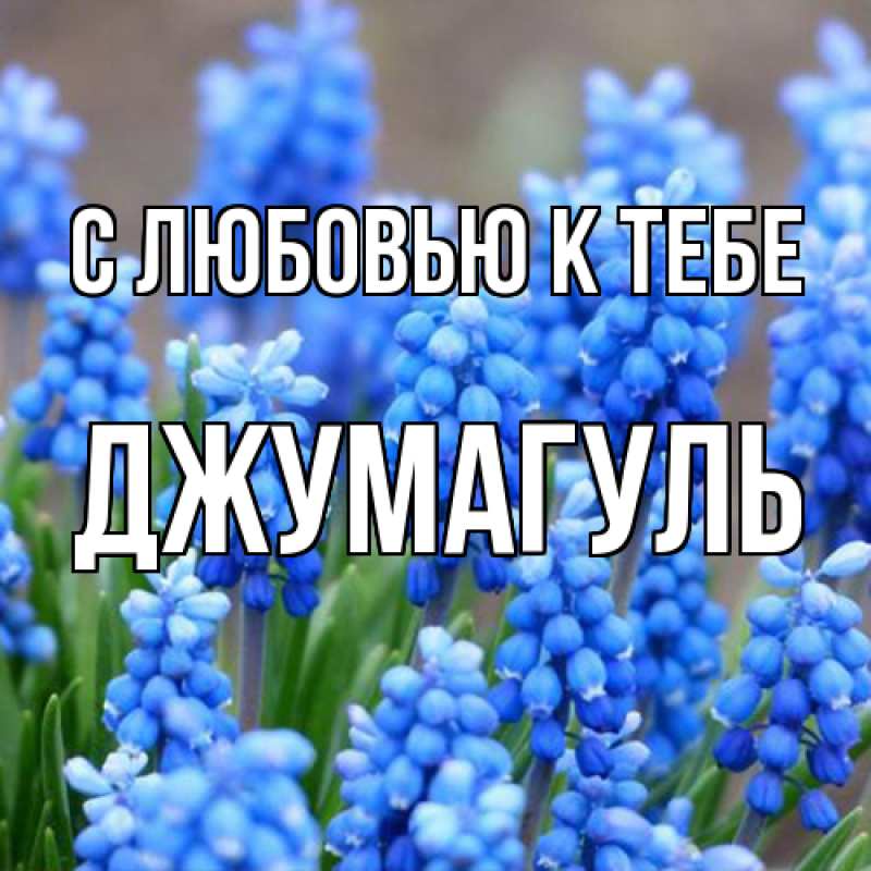 Картинка С любовью к тебе, Джумагуль