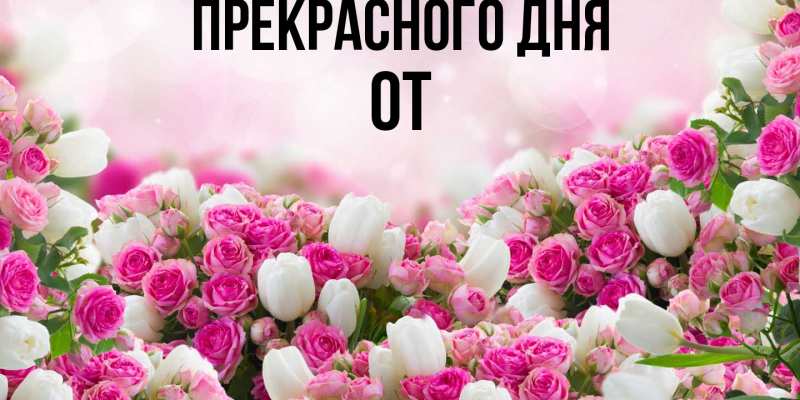 Картинка Прекрасного дня, От