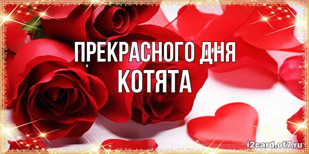 Открытка  с именем. Котята, Прекрасного дня  