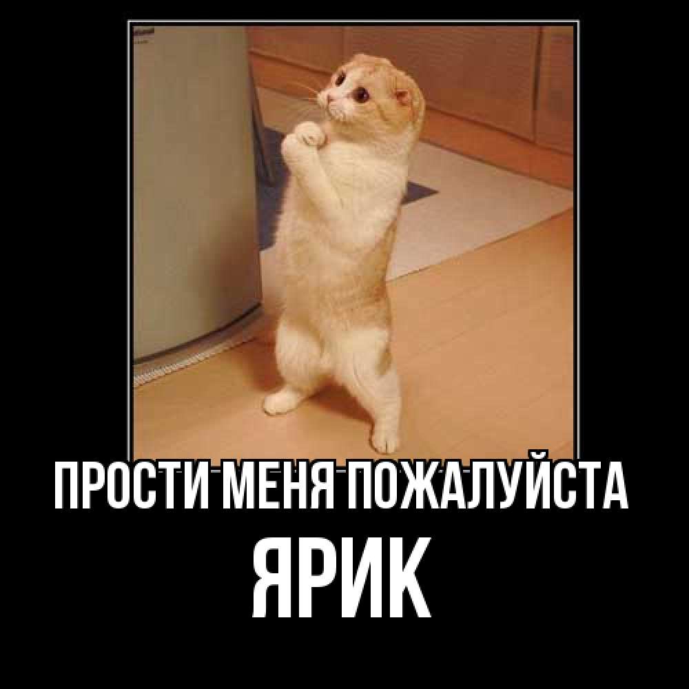 Открытка  с именем. Ярик, Прости меня пожалуйста  