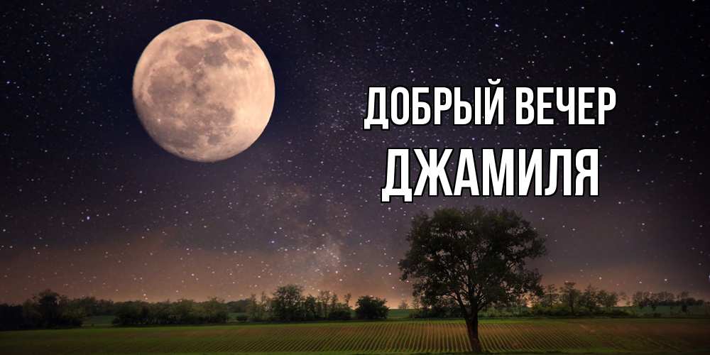 Открытка  с именем. Джамиля, Добрый вечер  