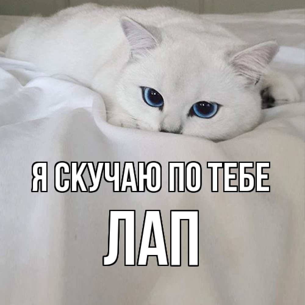 Открытка  с именем. Лап, Я скучаю по тебе  