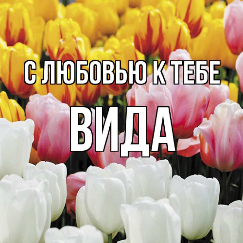 Картинка С любовью к тебе, Вида