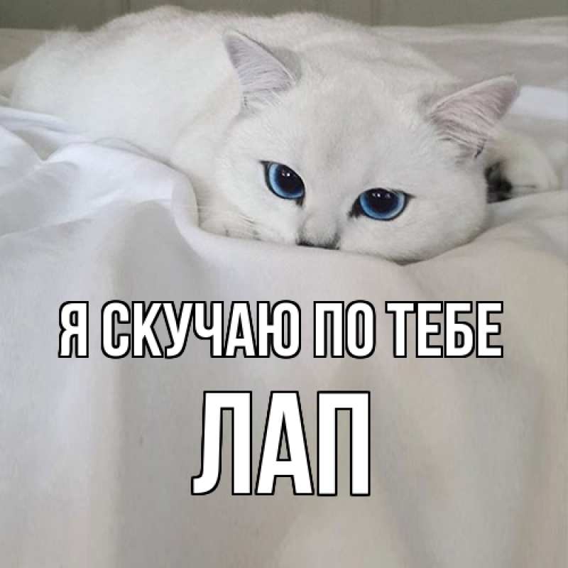 Картинка Я скучаю по тебе, Лап
