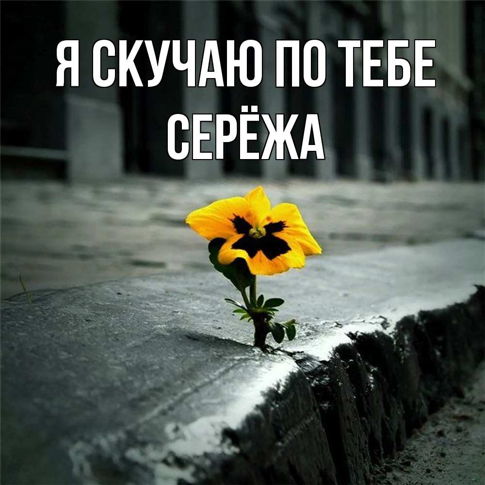 Открытка  с именем. Серёжа, Я скучаю по тебе  