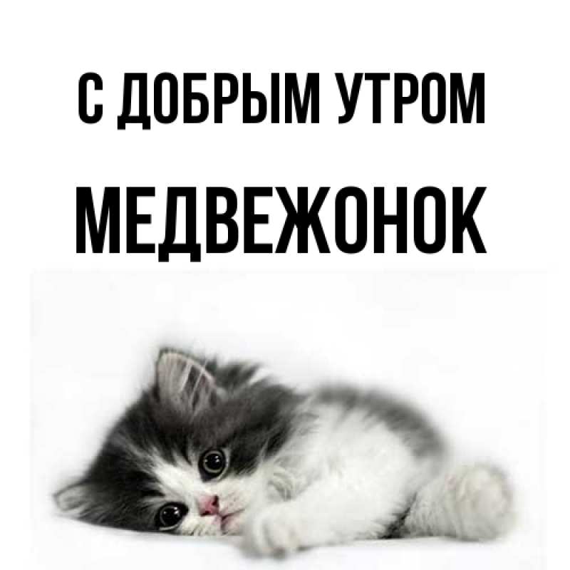 Картинка С добрым утром, Медвежонок