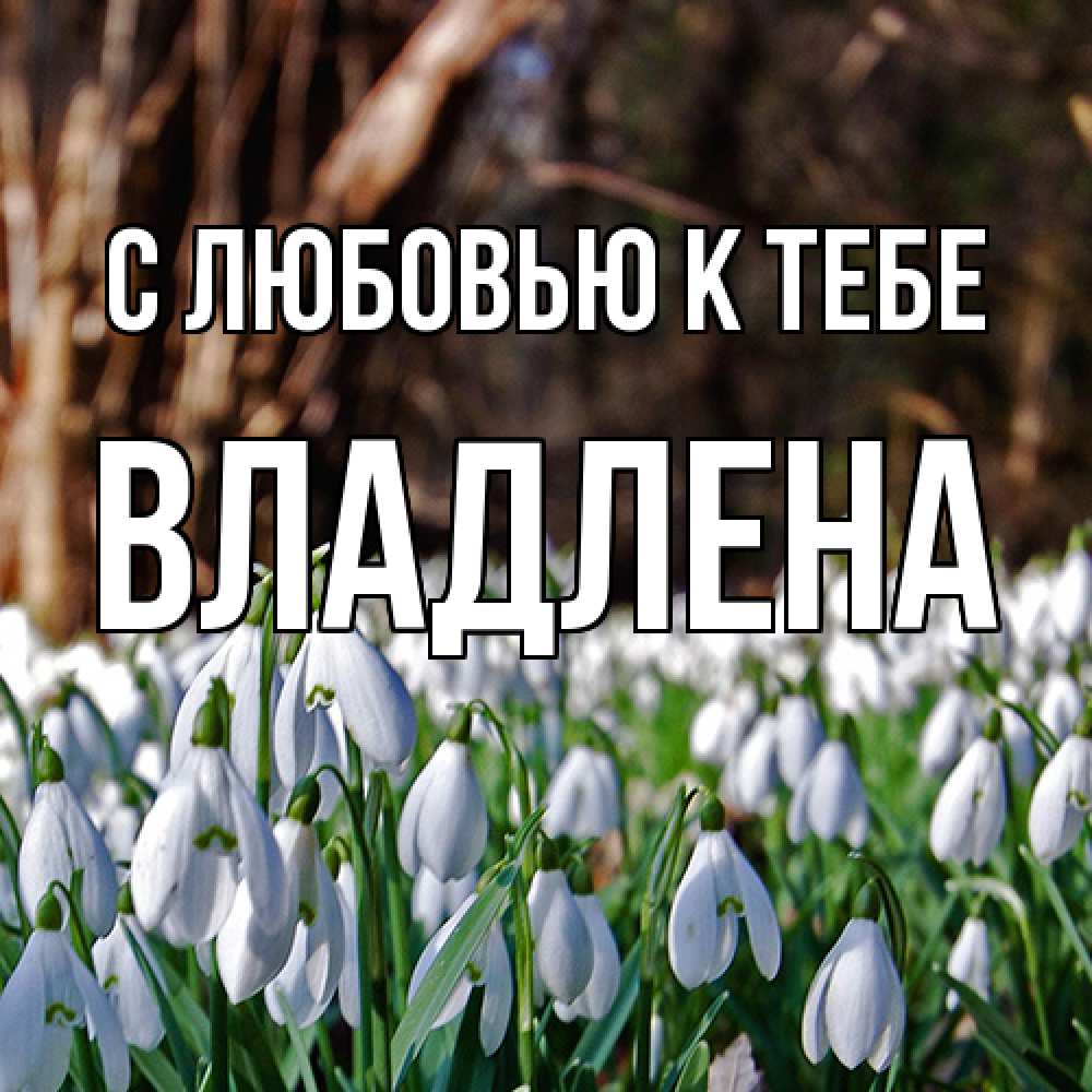 Открытка  с именем. Владлена, С любовью к тебе  