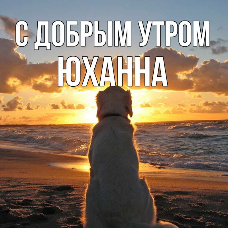 Картинка С добрым утром, Юханна