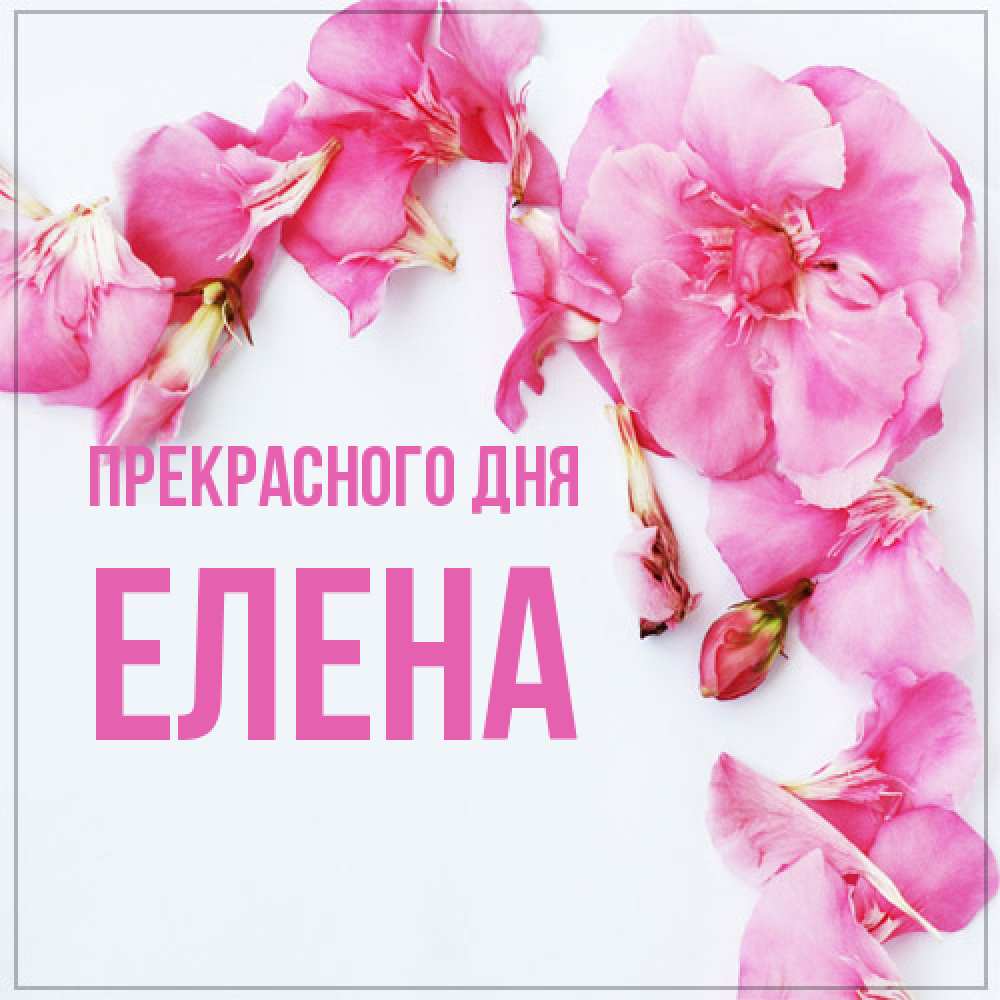 Открытка  с именем. Елена, Прекрасного дня  
