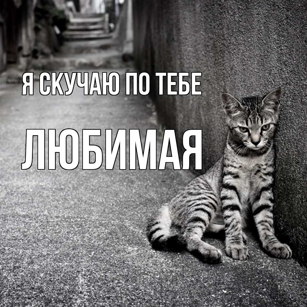 Открытка  с именем. Любимая, Я скучаю по тебе  