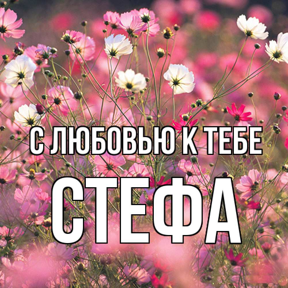 Открытка  с именем. стефа, С любовью к тебе  