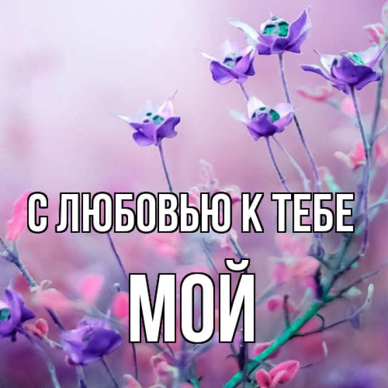 Картинка С любовью к тебе, Мой