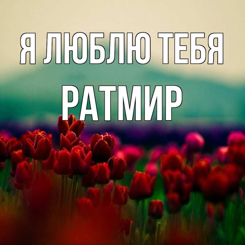 Картинка Я люблю тебя, Ратмир