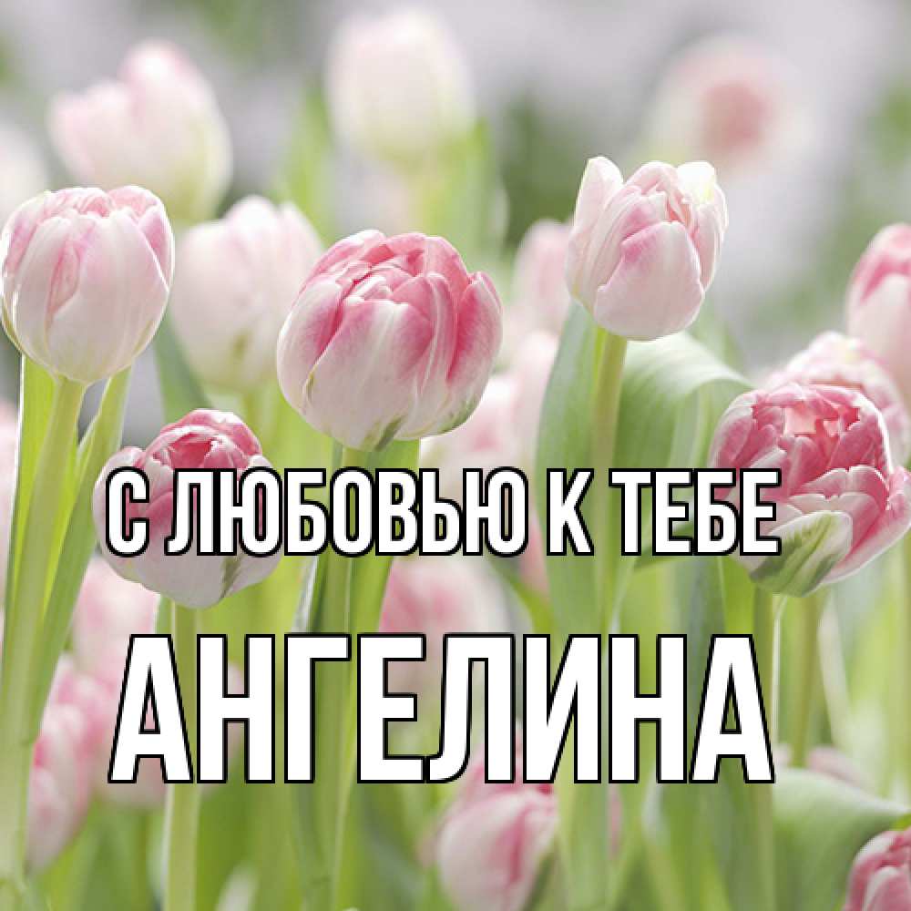 Открытка  с именем. Ангелина, С любовью к тебе  
