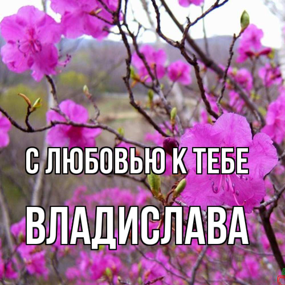 Открытка  с именем. Владислава, С любовью к тебе  