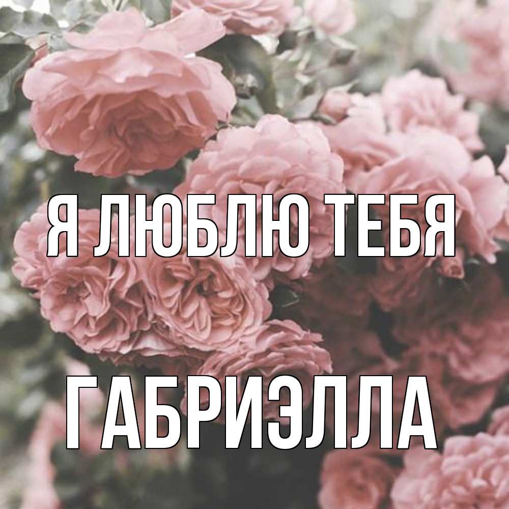 Открытка  с именем. Габриэлла, Я люблю тебя  