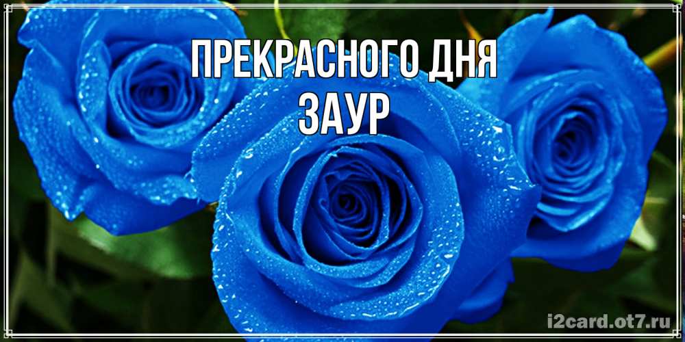 Открытка  с именем. Заур, Прекрасного дня  