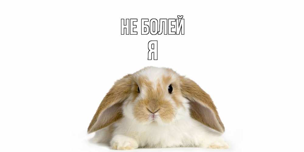 Открытка  с именем. я, Не болей  