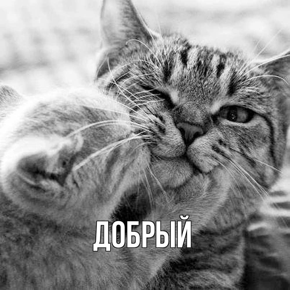 Открытка  с именем. Добрый, Главная  