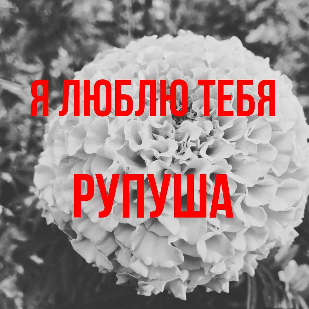 Открытка  с именем. Рупуша, Я люблю тебя  