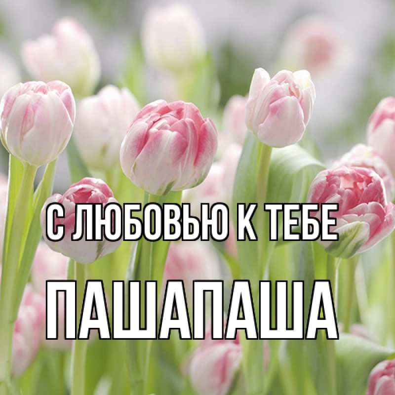 Открытка с именем, Пашапаша, С любовью к тебе