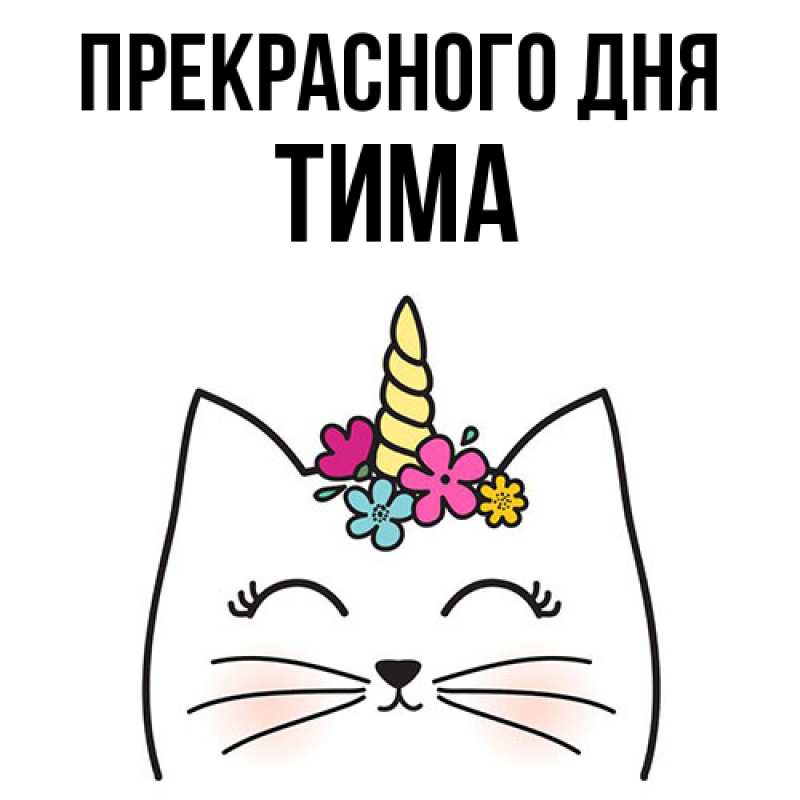 Картинка Прекрасного дня, Тима