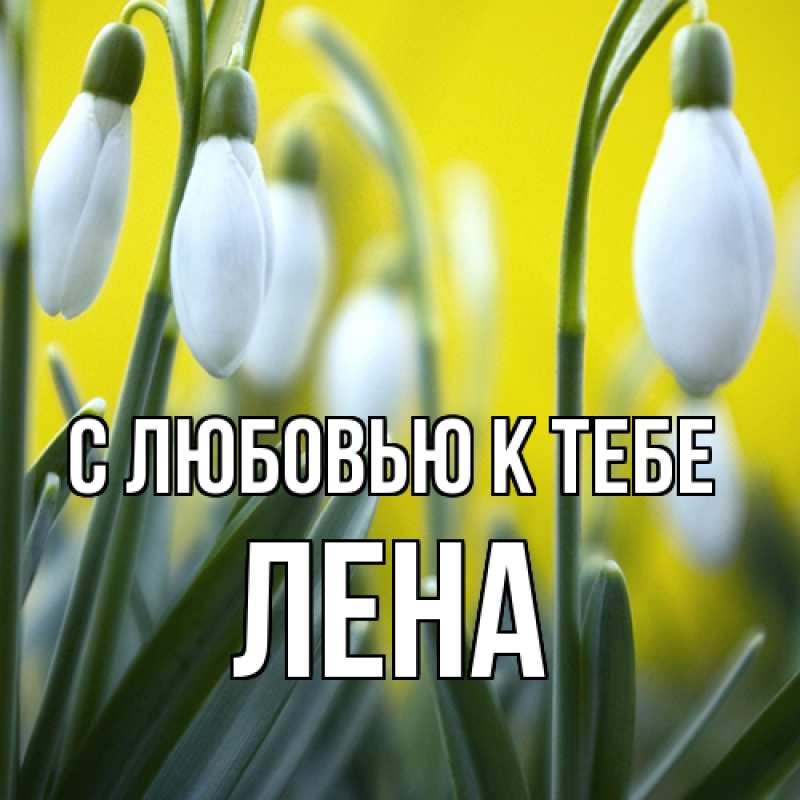 Картинка С любовью к тебе, лена
