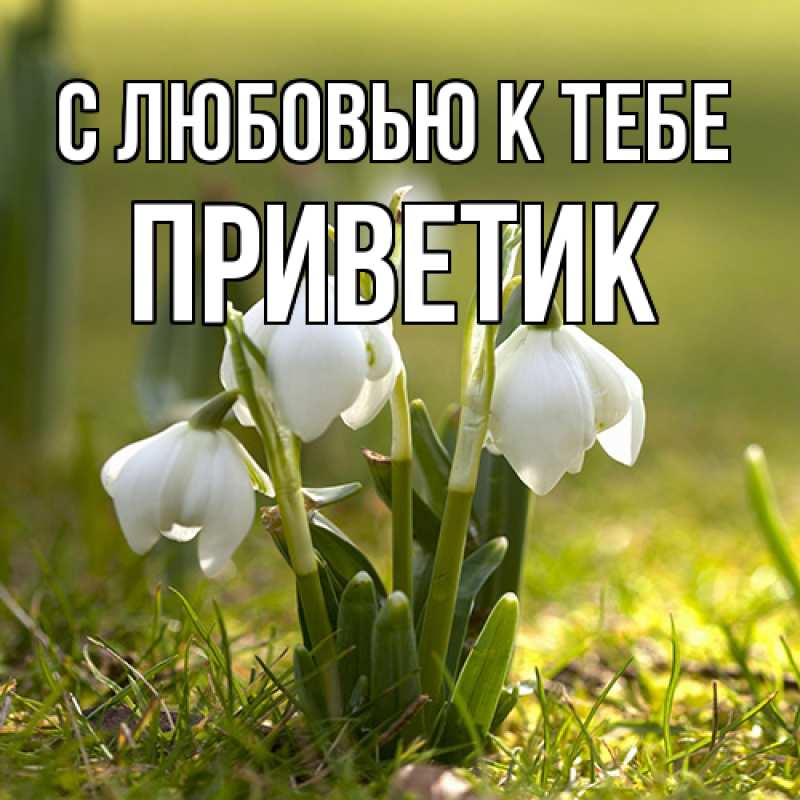 Картинка С любовью к тебе, приветик