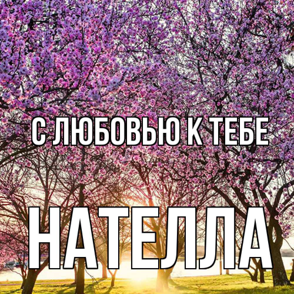 Открытка  с именем. Нателла, С любовью к тебе  