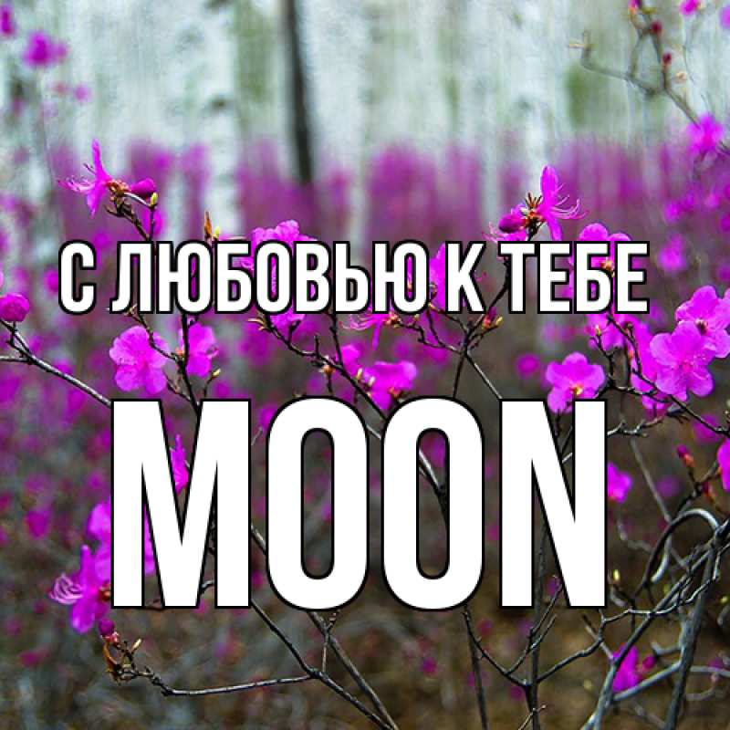 Открытка с именем, Moon, С любовью к тебе