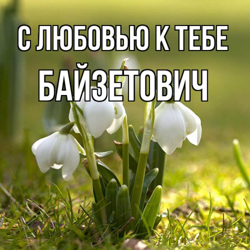 Картинка С любовью к тебе, Байзетович