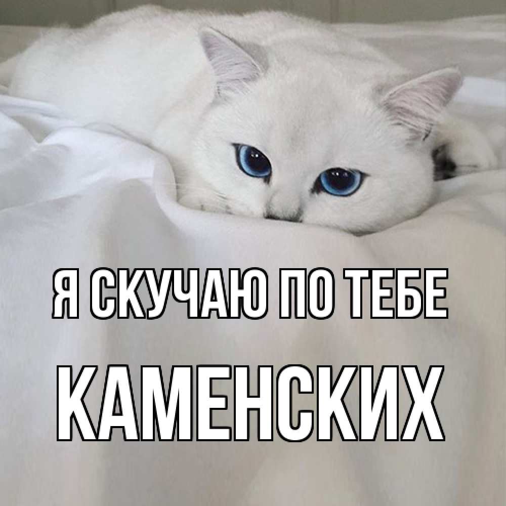 Открытка  с именем. Каменских, Я скучаю по тебе  