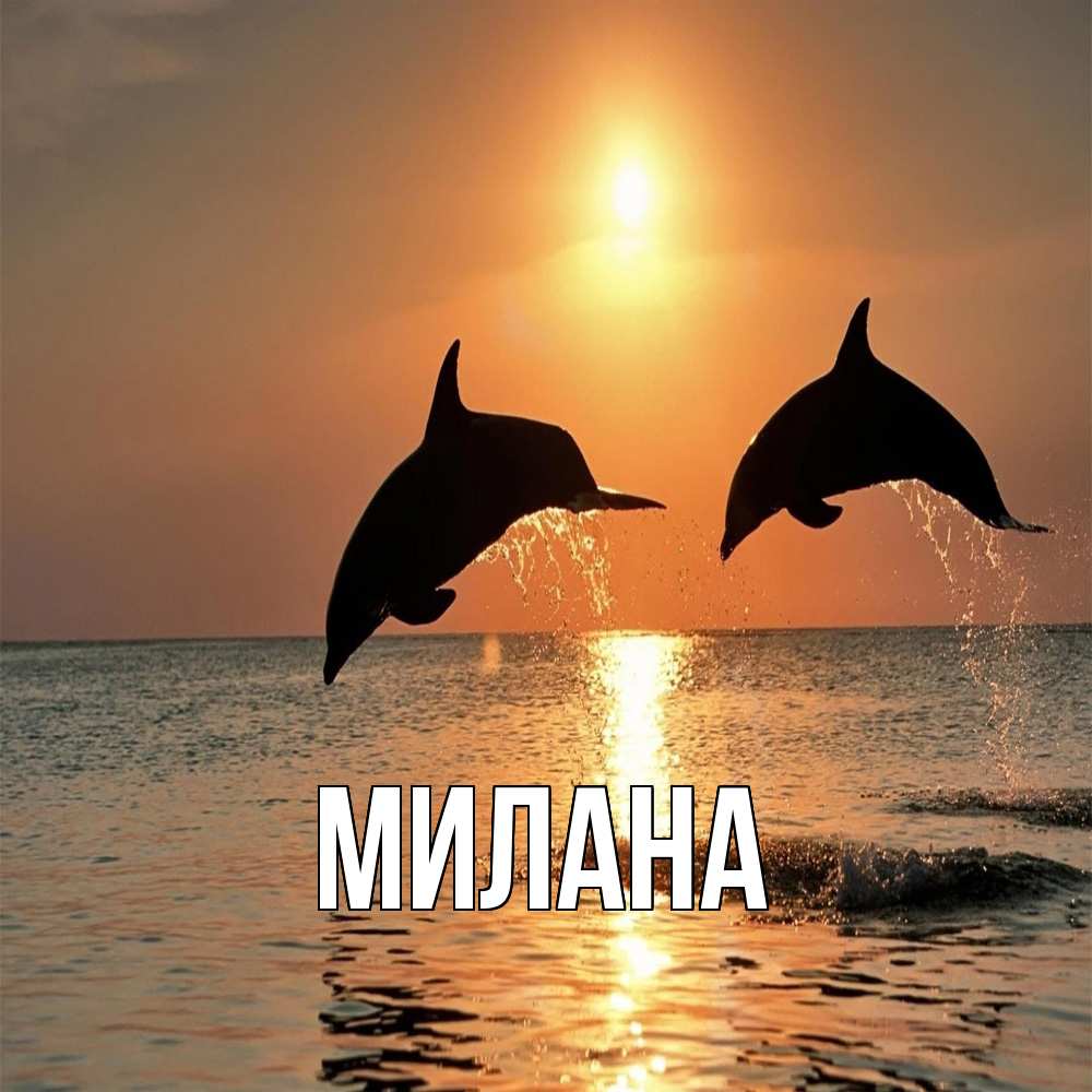 Открытка  с именем. Милана, Главная  