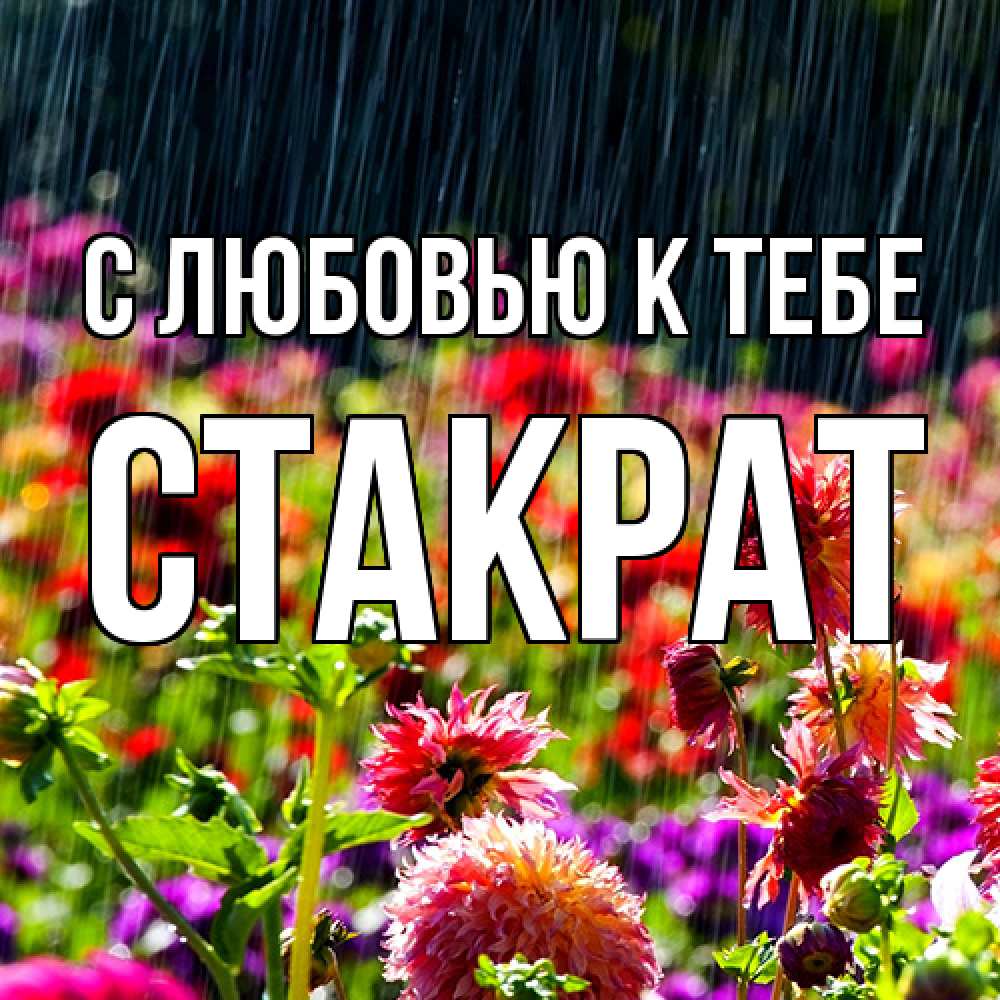 Открытка  с именем. Стакрат, С любовью к тебе  
