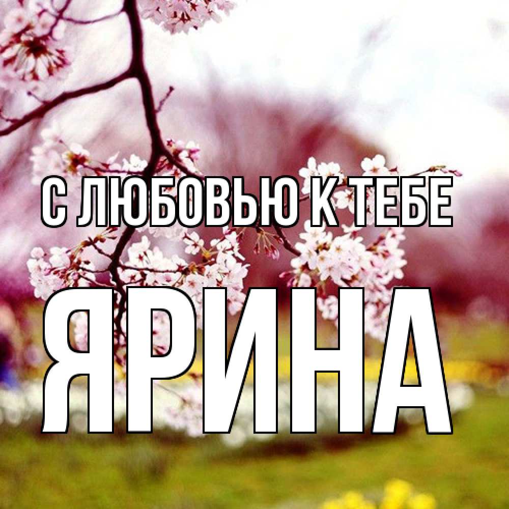 Открытка  с именем. Ярина, С любовью к тебе  