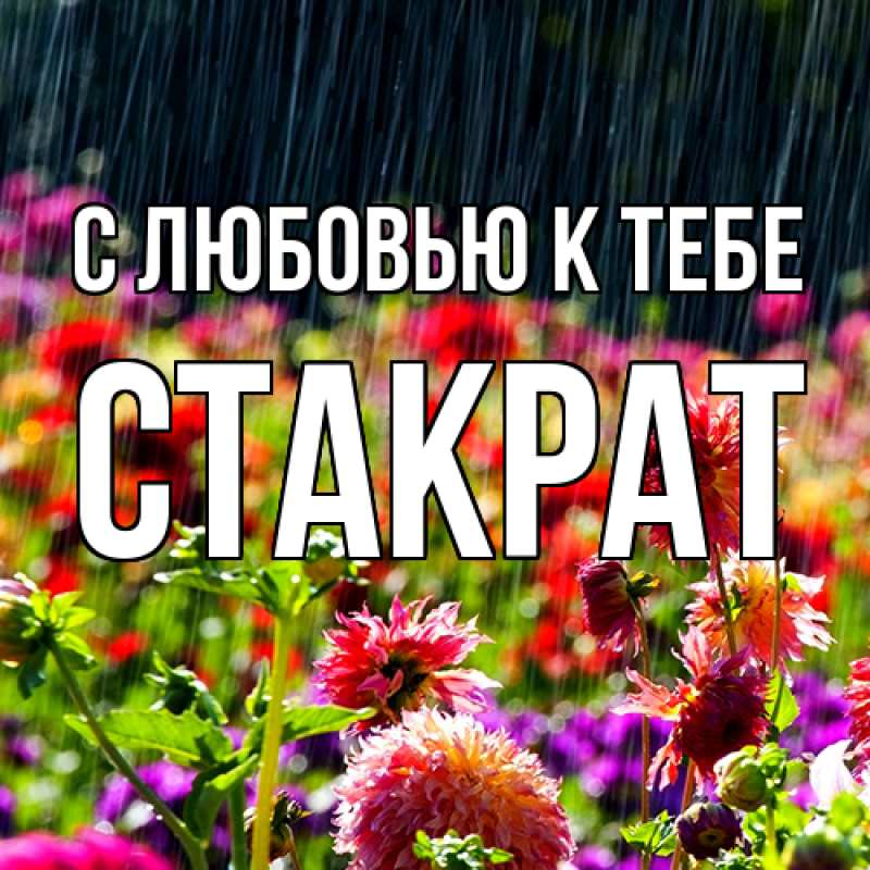 Картинка С любовью к тебе, Стакрат