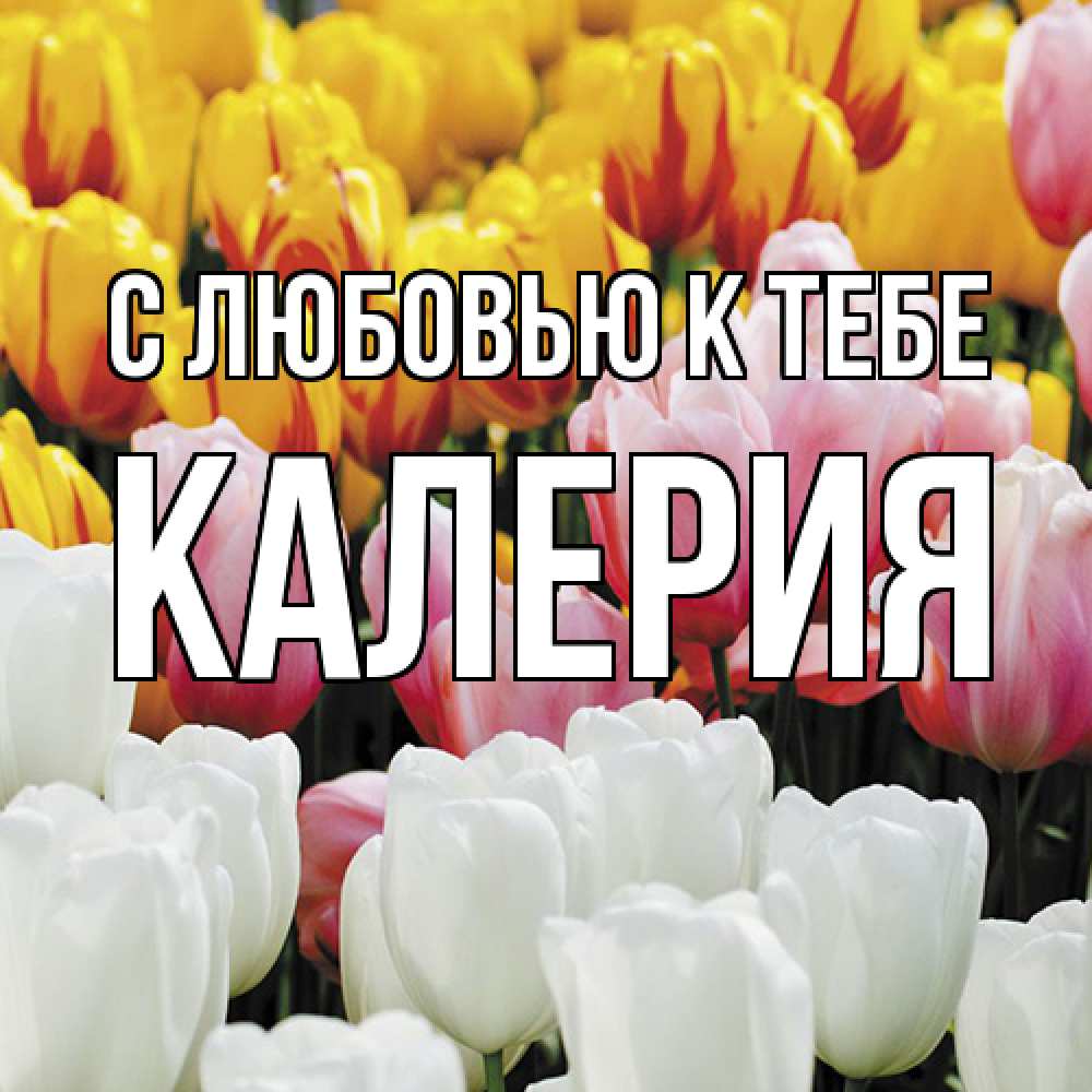 Открытка  с именем. Калерия, С любовью к тебе  