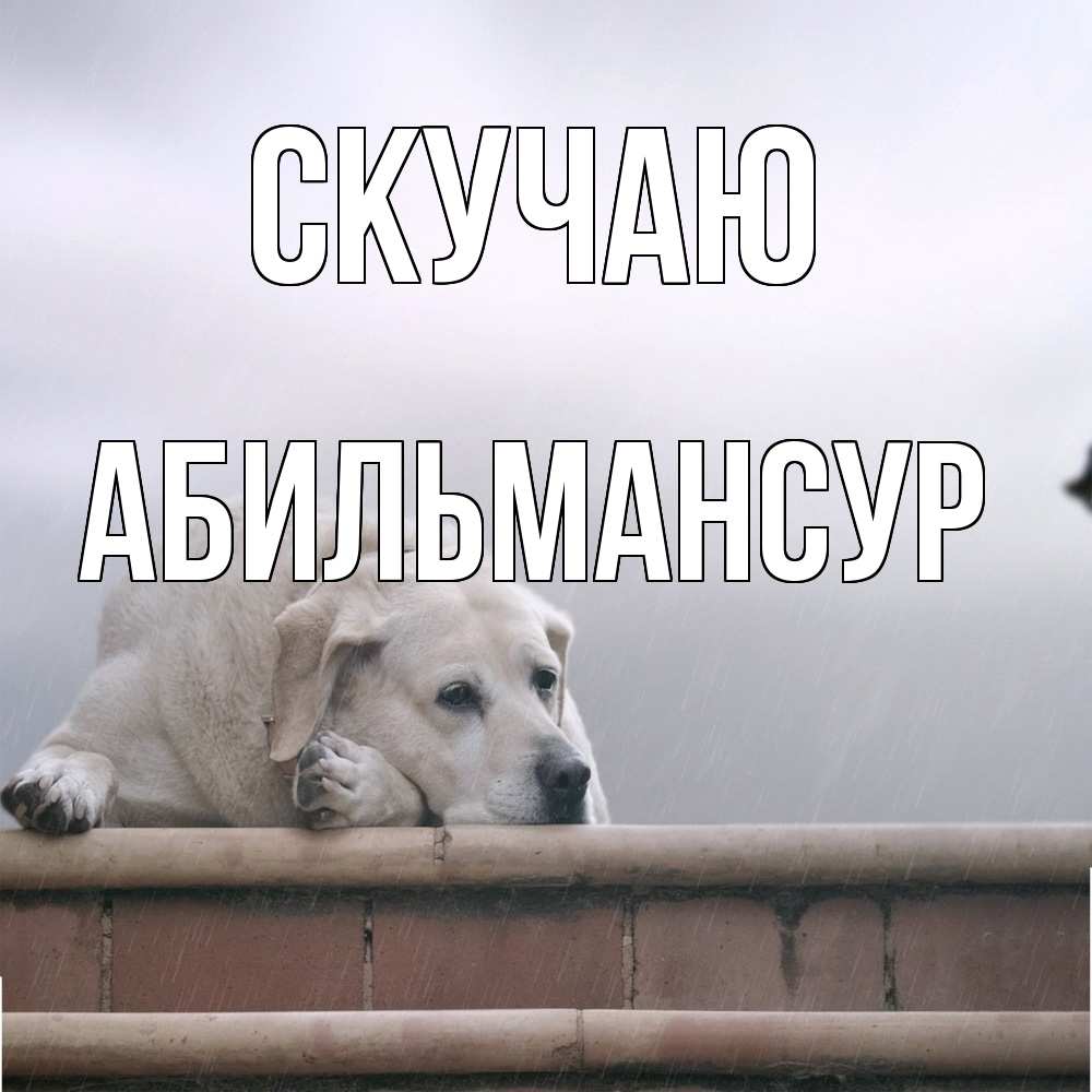 Открытка  с именем. Абильмансур, Скучаю  