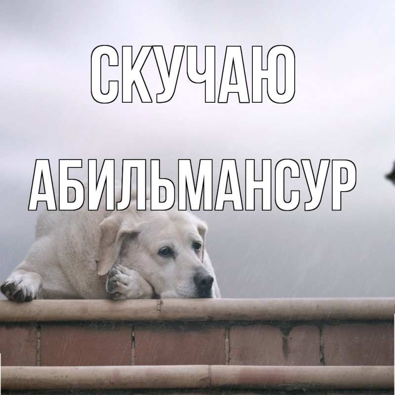 Картинка Скучаю, Абильмансур