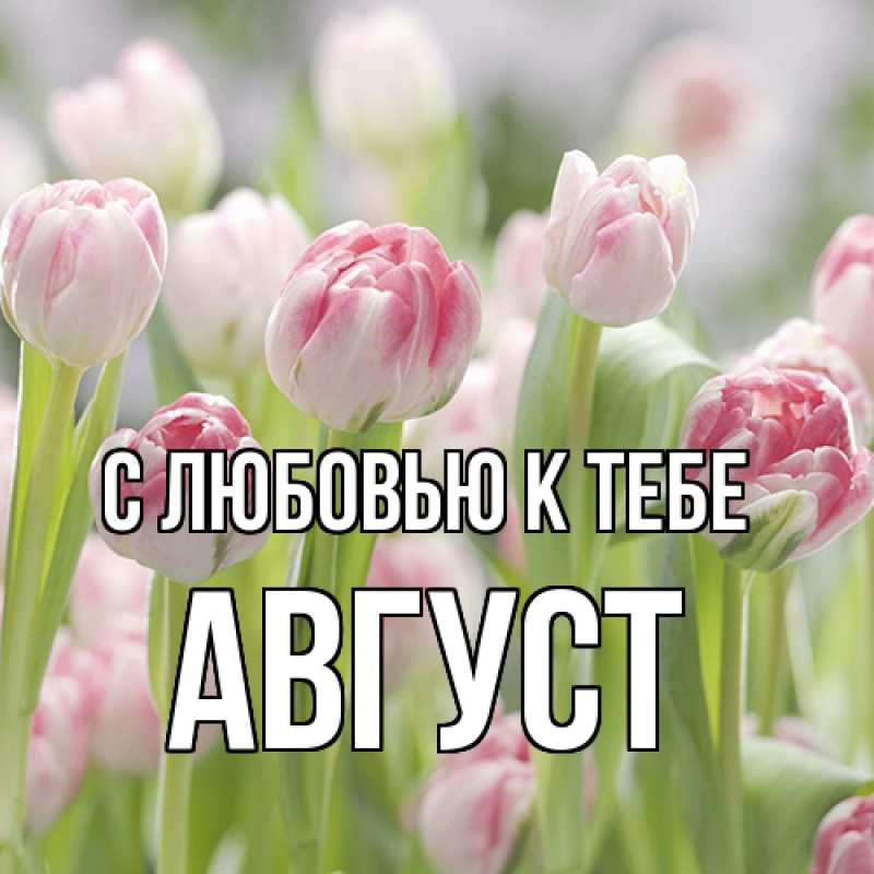 Картинка С любовью к тебе, Август