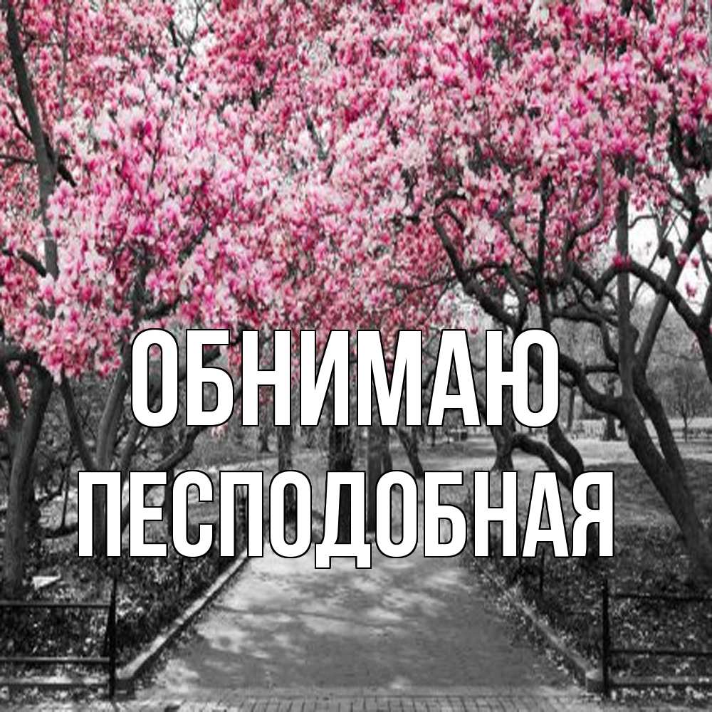 Открытка  с именем. Песподобная, Обнимаю  