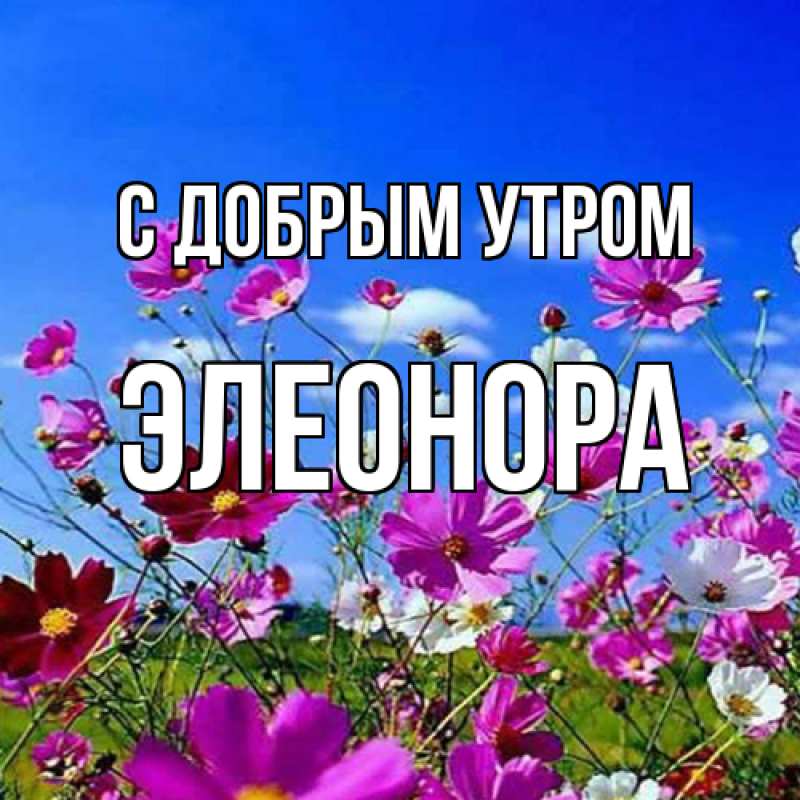 Картинка С добрым утром, Элеонора