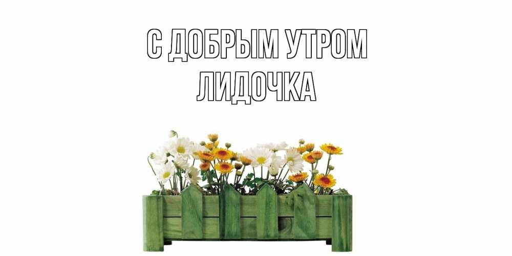 Открытка  с именем. Лидочка, С добрым утром  
